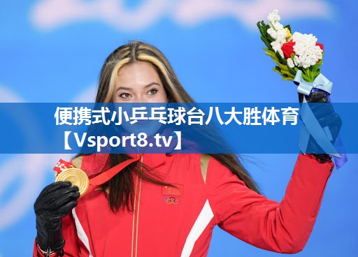 便携式小乒乓球台八大胜体育