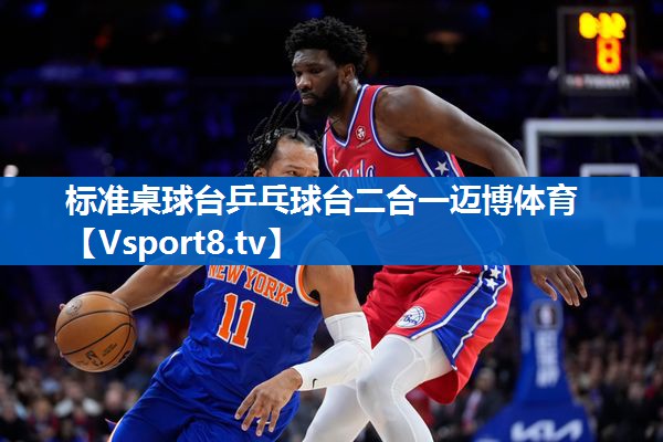 标准桌球台乒乓球台二合一迈博体育