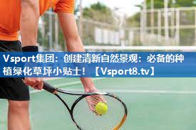Vsport集团：创建清新自然景观：必备的种植绿化草坪小贴士！