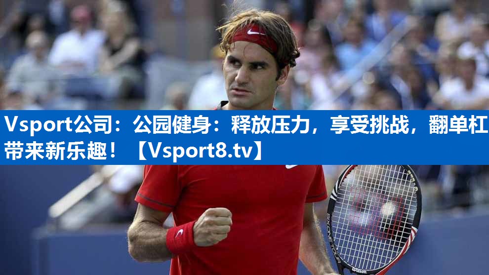 Vsport公司：公园健身：释放压力，享受挑战，翻单杠带来新乐趣！