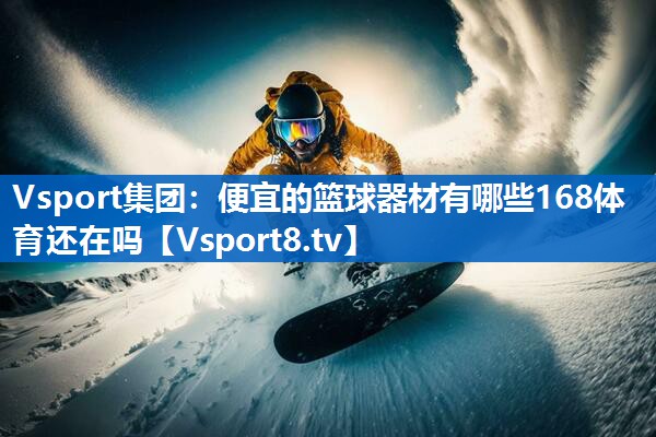 Vsport集团：便宜的篮球器材有哪些168体育还在吗