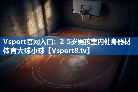 Vsport官网入口：2-5岁男孩室内健身器材体育大球小球