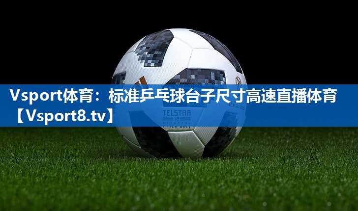 Vsport体育：标准乒乓球台子尺寸高速直播体育