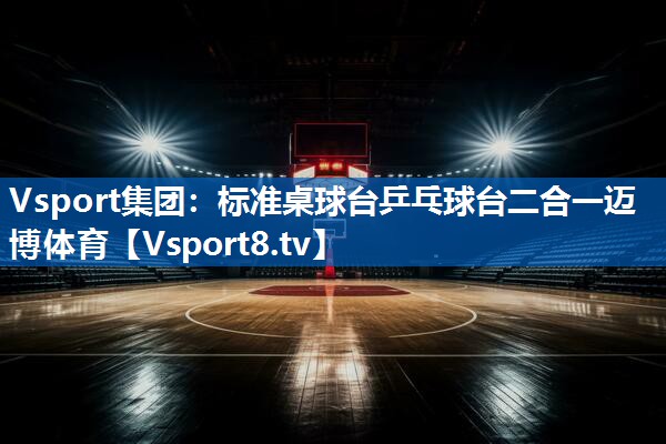 Vsport集团：标准桌球台乒乓球台二合一迈博体育