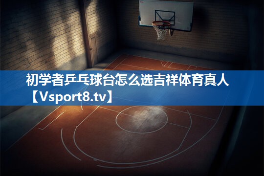 初学者乒乓球台怎么选吉祥体育真人