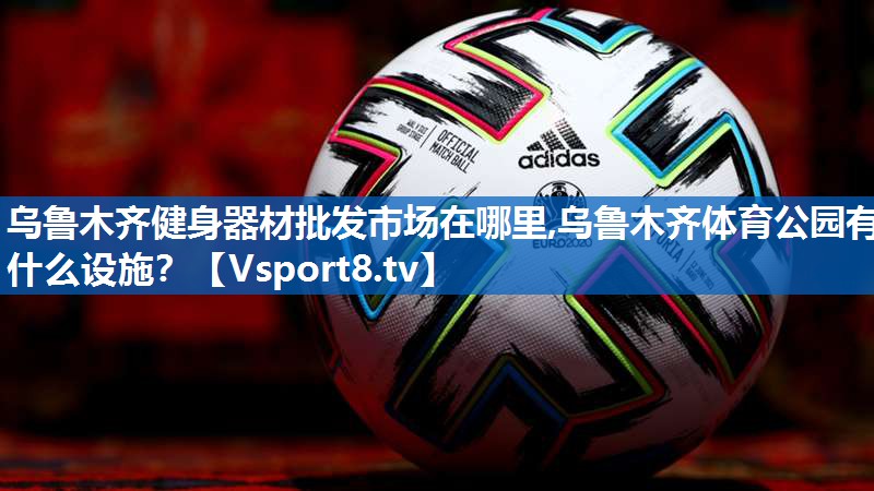 乌鲁木齐健身器材批发市场在哪里,乌鲁木齐体育公园有什么设施？
