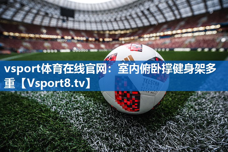 vsport体育在线官网：室内俯卧撑健身架多重