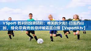 VSport-胜利因您更精彩：唯美的夕光！日落西山时，绿化带两旁的草坪被霜盖点缀