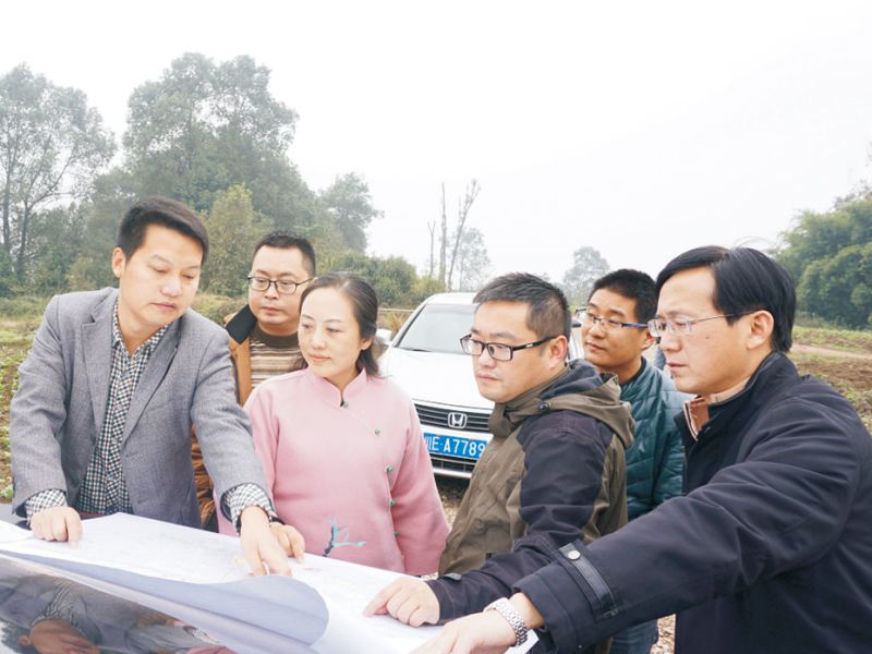 2026世界杯园林绿化维护