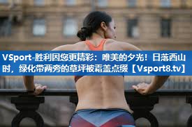 唯美的夕光！日落西山时，绿化带两旁的草坪被霜盖点缀