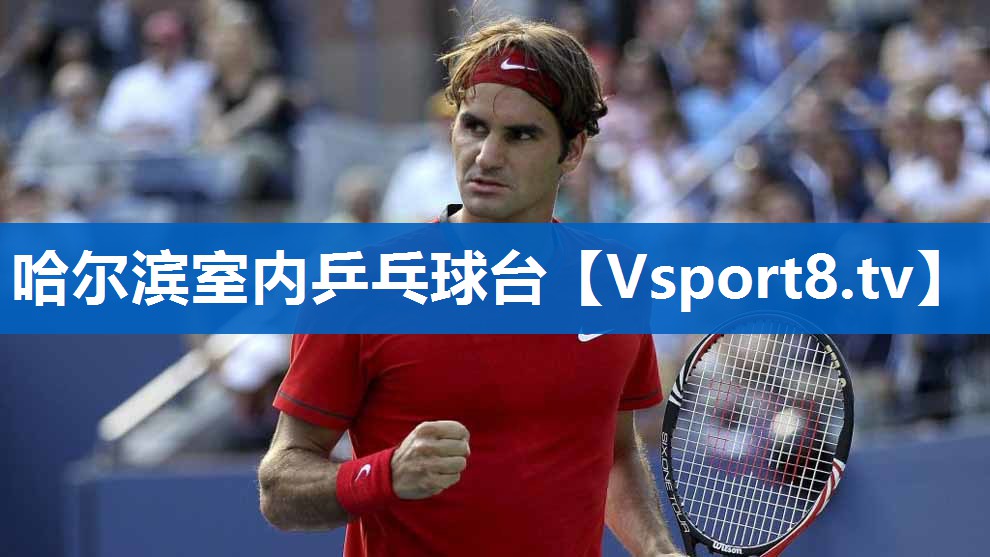 哈尔滨室内乒乓球台 哈尔滨室内乒乓球台