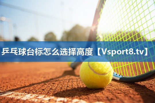 乒乓球台标怎么选择高度