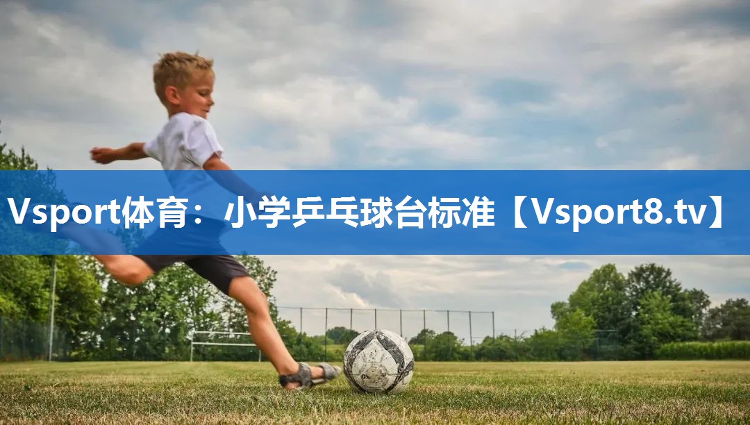 小学乒乓球台标准